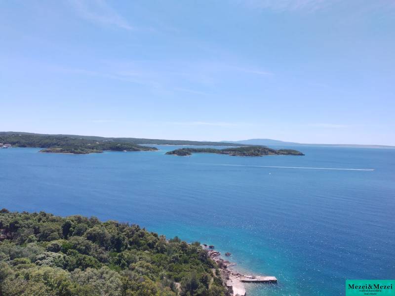 image6 (5).jpeg