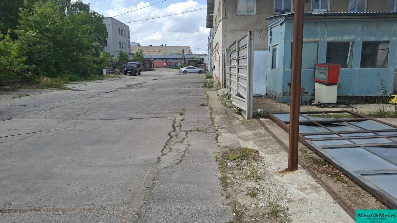 image1 (81).jpeg