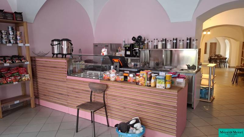 image4.jpeg