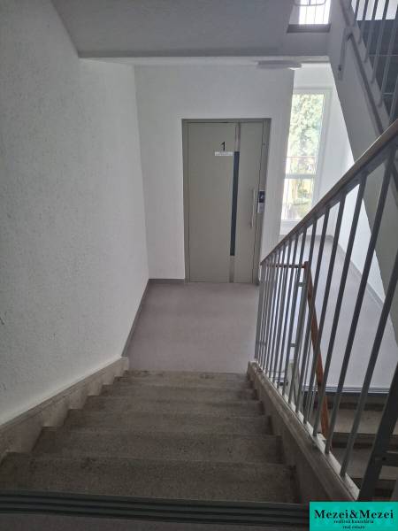 foto13.jpg