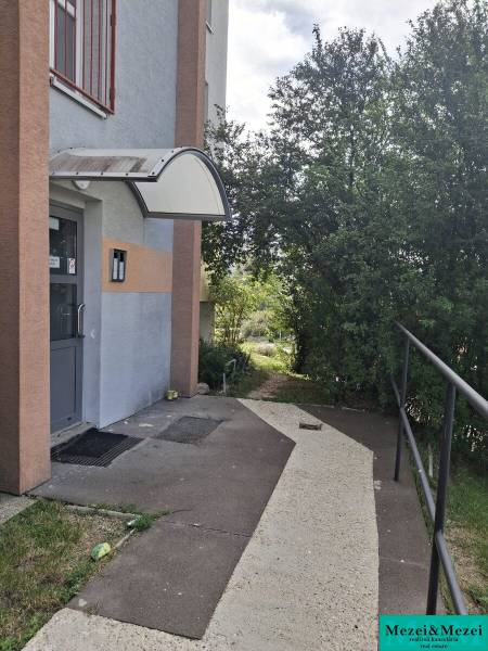 foto15.jpg