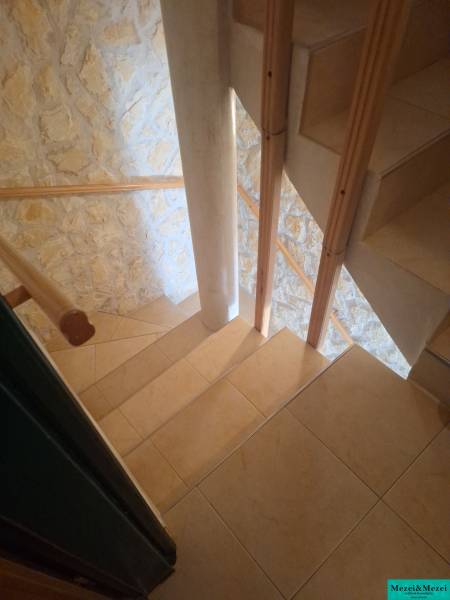 foto10.jpg