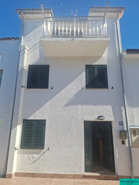 foto11.jpg