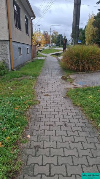 Obrázok WhatsApp 2025-11-04 o 11.33.24_97d161ae.jpg