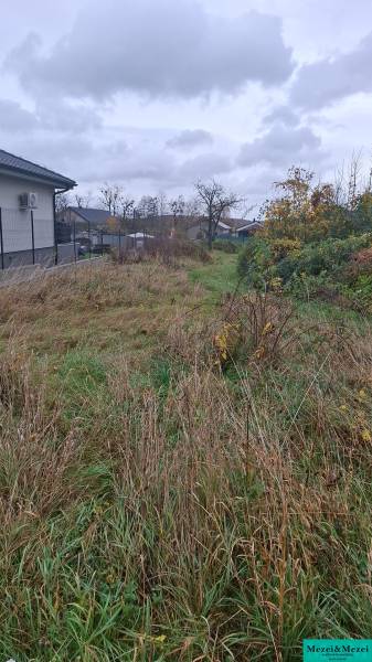 Obrázok WhatsApp 2025-11-04 o 11.33.24_b3b78c0a.jpg