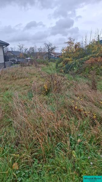 Obrázok WhatsApp 2025-11-04 o 11.33.24_572ac1ca.jpg