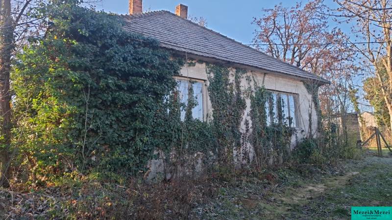 Изображение WhatsApp 2025-11-28 в 09.28.29_a8c3c143.jpg