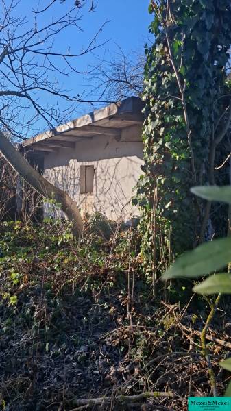 Изображение WhatsApp 2025-11-28 в 09.30.39_df000683.jpg