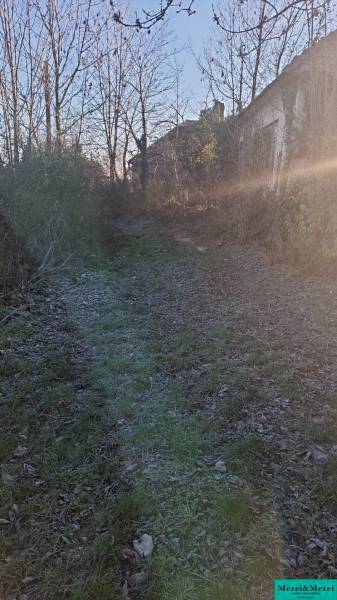 Изображение WhatsApp 2025-11-28 в 09.32.12_e5c7fd9f.jpg