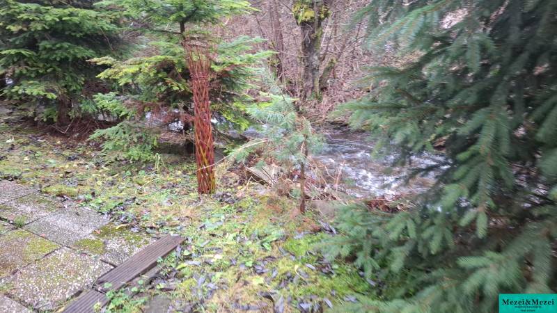 WhatsApp Image 2025-12-19 at 10.01.00.jpeg